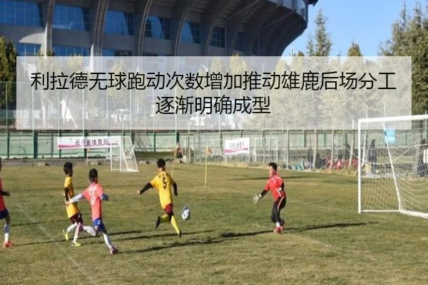 利拉德无球跑动次数增加推动雄鹿后场分工逐渐明确成型